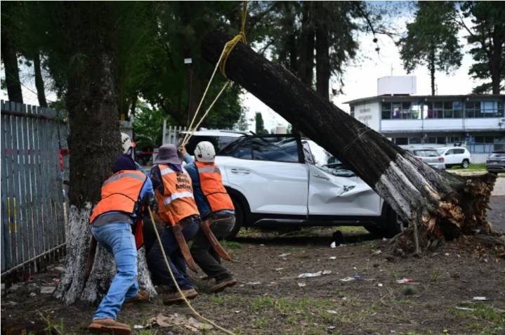 Rachas de viento del Norte dejan cuantiosos daños en la entidad