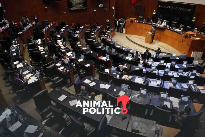 Senado aprueba tres leyes del paquete fiscal: impuestos a bebidas azucaradas, tabaco y videojuegos