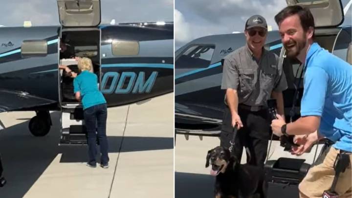 West Virginia Rescue Uncovers Unexpected Secrets When They Scan This Dog’s Microchip