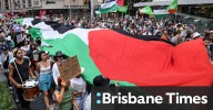 Pro-Palestine protest march: Supporters vow they will keep marching despite ceasefire