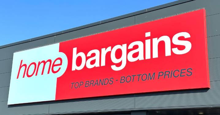 Home Bargains' new £13 item 'makes front of your house look gorgeous'