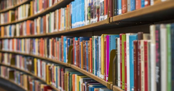 Books about race and gender to be returned to school libraries on some military bases