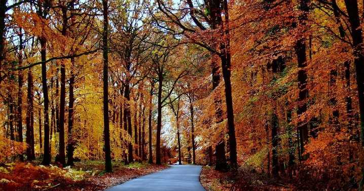 16 beautiful photos of the best autumn walks in and around Birmingham