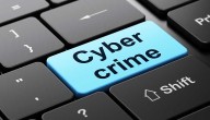 Kerala: 263 Arrested In Cyber Fraud Crackdown, Rs 300 Cr Scam Uncovered