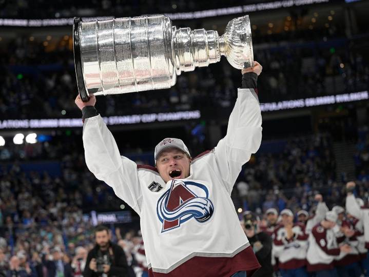 Defenceman Erik Johnson retires after 17