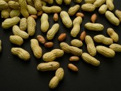 Advice to feed babies peanuts early and often helped thousands of kids avoid allergies