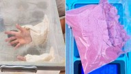 Descubren un laboratorio con incubadoras para elaborar drogas