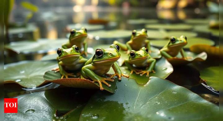 'Strange cure attempt': 82-year-old Chinese woman swallows 8 live frogs for back pain; here is what happened next