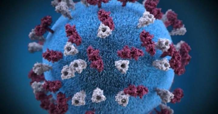 Measles: 5 new cases reported in Ottawa family