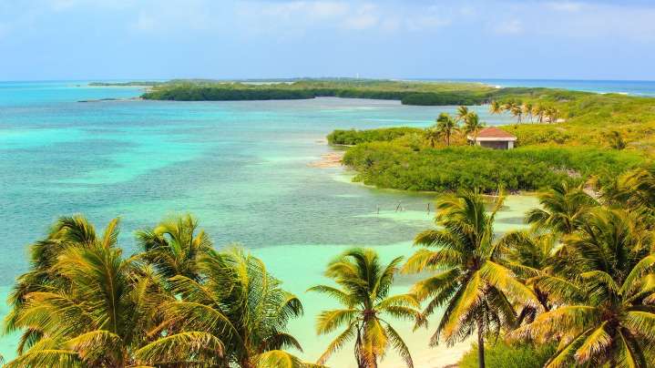 Ellos saben cómo llevarte al paraíso