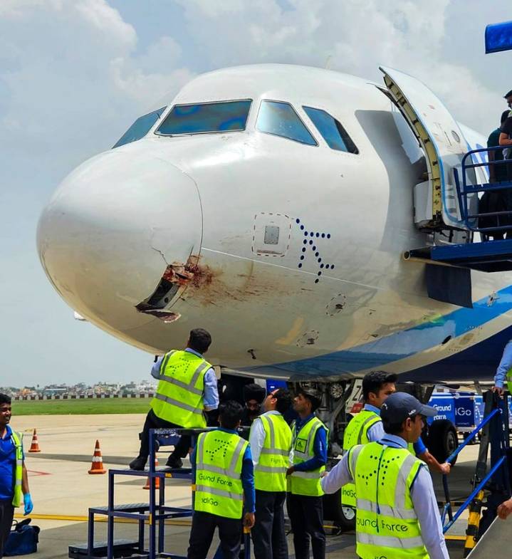 Power bank catches fire in IndiGo plane at Delhi airport