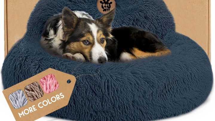 Save 32% on this top-rated calming dog bed for your anxious pooch