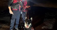 Missing 2-year-old found safe after 4½-hour search in Dorchester
