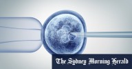 Monash IVF avoids punishment over breaching NSW donor rules