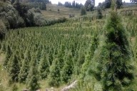 Impulsan conservación de la biodiversidad con catálogos de especies propias por cada municipio mexiquense