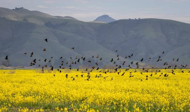 Palo Alto environmental group buys three farms for $7.8 million