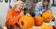 Kenova Pumpkin House invites volunteers to help prep 3,000 pumpkins for 2025 display