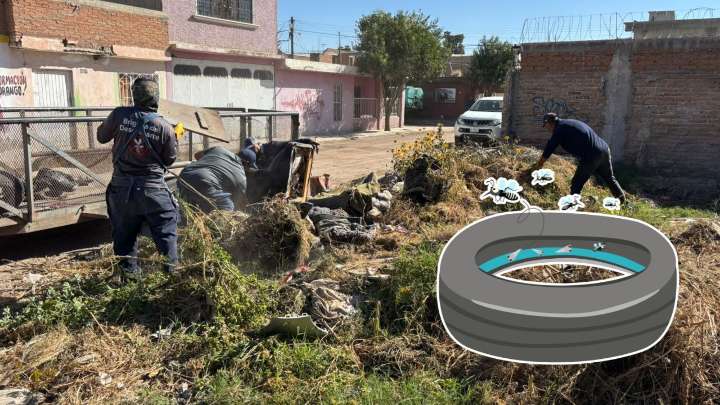 Limpian terreno en la colonia Juan Lira para prevenir focos de infección