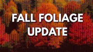 AST Blog: Arkansas Fall Foliage Update
