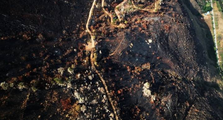 Incendios forestales quemaron 2,3 millones de hectáreas en Perú: el equivalente a diez veces Lima Metropolitana