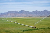 Ag-to-Urban will reshape Arizona’s agriculture industry, but farmers question if it’s worth it