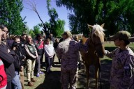 Capacitan a equipos de emergencias en el uso de caballos para rescates en zonas rurales y de montaña