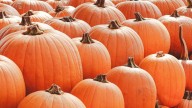 De Samhain a Jack o’ Lantern: el origen celta de Halloween