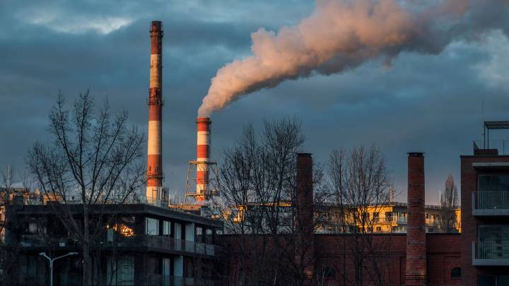 PM2.5 pollution led to over 17 lakh deaths in India in 2022, fossil fuels caused nearly half: Lancet