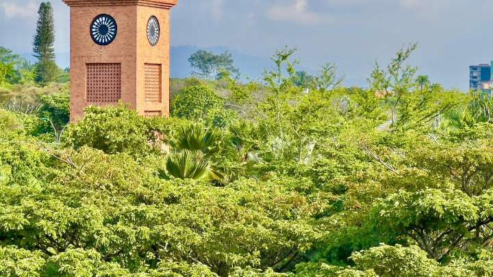 Universidad Icesi en Cali lanza convocatoria nacional de becas: pasos para aplicar