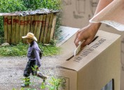 Grupos armados al asecho: estos son los municipios antioqueños en mayor riesgo para las próximas elecciones