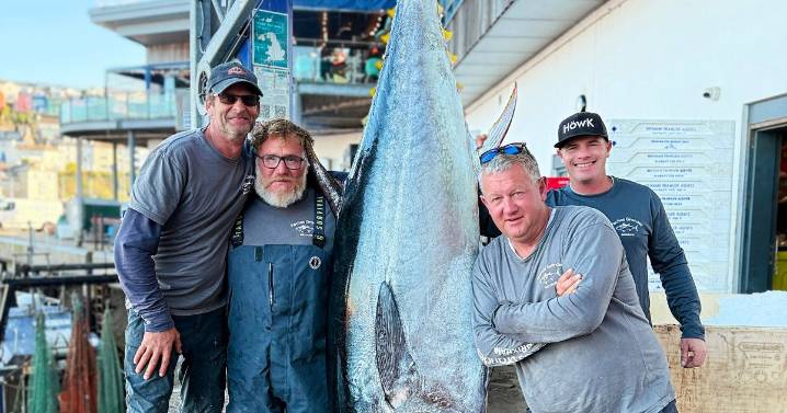 Fishermen snare monster tuna off the UK coast big enough to feed 1000 people