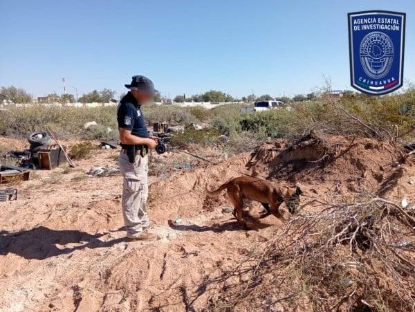 Localizan tres osamentas y restos óseos en excavaciones