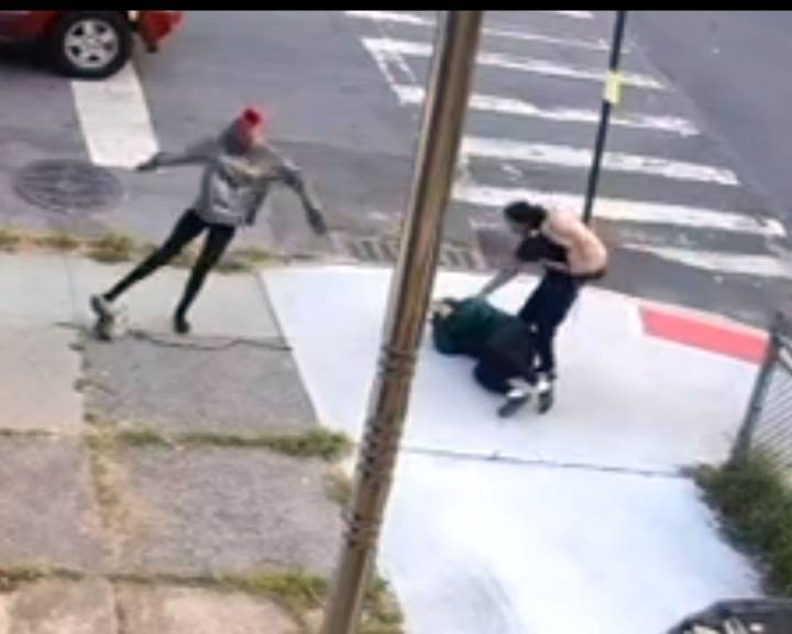 Allerton: Mom Seeks Justice After Daughter & Puppy Assaulted by Gang