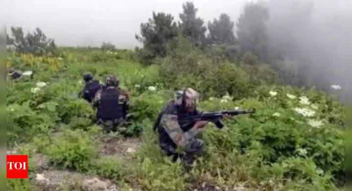 Infiltration bid foiled along LoC, 2 killed