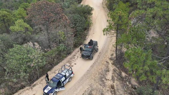 Detienen a nueve presuntos pistoleros durante operativo desplegado en Moris