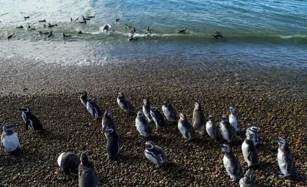 Cómo es el Parque Nacional Monte León: un paraíso en Santa Cruz