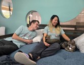 Luna Cat Collective brings adoptable cats to Ellicott City