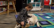 Dogs help Helena students with learning and communication