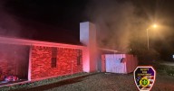 Family dog dies in house fire