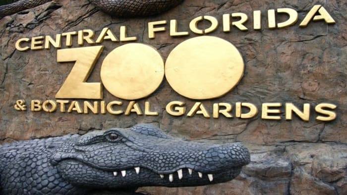 6 Things To Do: Oct. 11