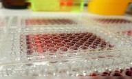 Syngene confirms expansion of biologics facility with new ADC bioconjugation capability