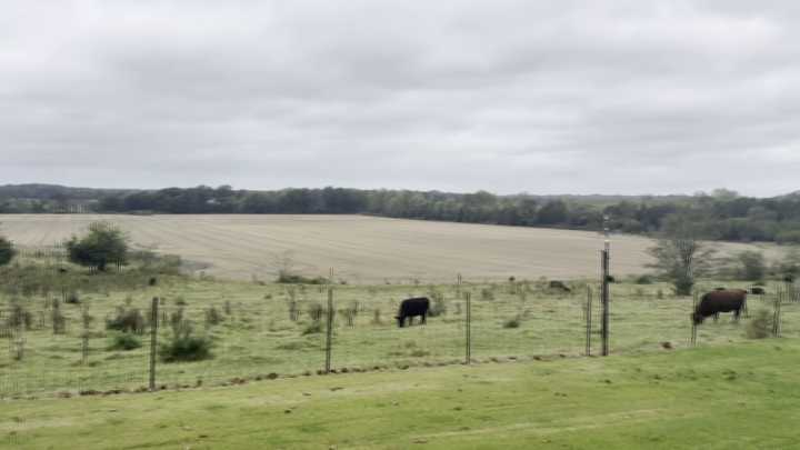 Group of Lee County residents opposed to planned solar farm