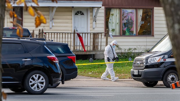 How police in two northern Ontario cities are tackling a rise in intimate partner violence