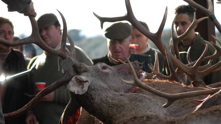 Extremadura encara una temporada récord con 1.500 monterías y un impacto económico de 200 millones impulsado por cazadores de todo el mundo