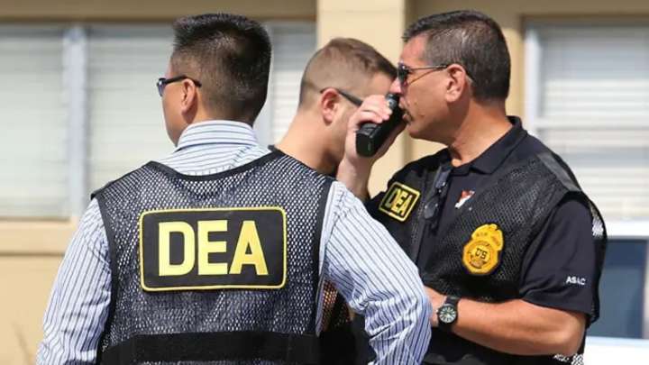 Narcotráfico en Estados Unidos: 80% de los detenidos son estadounidenses