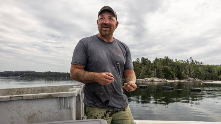 ‘I got older and became a communist’: Deleted posts show Maine Senate hopeful’s raw views on politics, war, and police