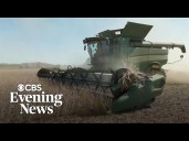 Reporter's Notebook: Will China return to buying American soybeans?