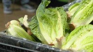 SNAP benefits threatened as shutdown impacts food insecurity