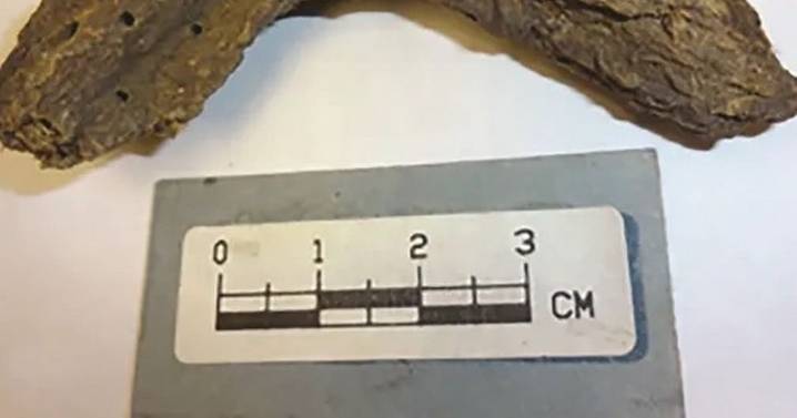 1,300-year-old piece of human faeces found in 'Cave of Dead Children' leaves scientists baffled