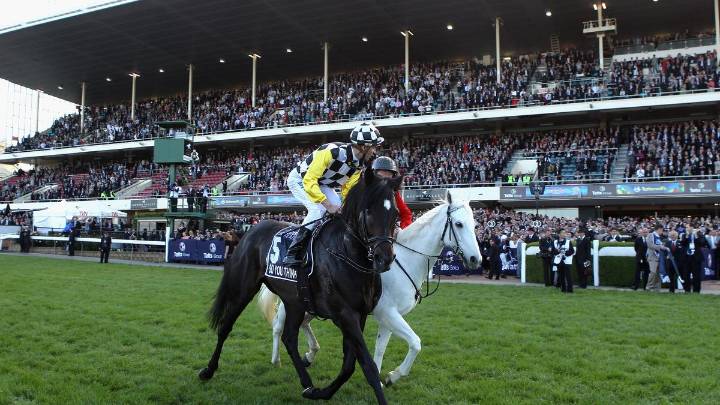 Legendary Australian racehorse So You Think passes away aged 19
